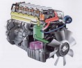 /album/fotogaleria/motor-frio-jpg1/